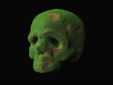 Fototapeta Dmuchawce - an old abandoned skull overgrown with grass with patches of brown earth. Abstract 3d illustration about y sliding time