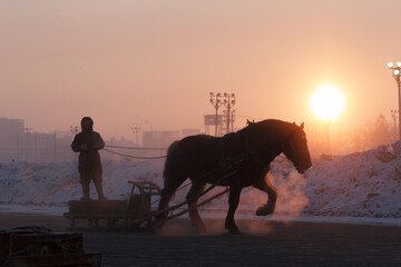 ばんえい競馬の調教