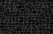 Crocodile skin pattern. Black viper, drawing on the snake skin. Reptile surface monochrome croc leather texture. Animal seamless background for printing. Raster copy illustration 