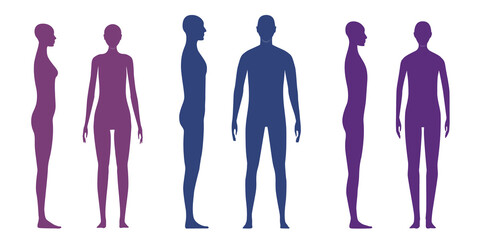 Human body silhouettes of male, female and a gender neutral person