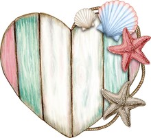 Starfish And Seashells