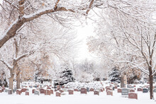 Cemetery In Winter - Fairmont Cemetery In Denver, Colorado With Frosted Trees From A Fresh Winter Snow