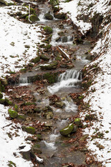 Canvas Print - Water flowing in the river between the stones in winter.