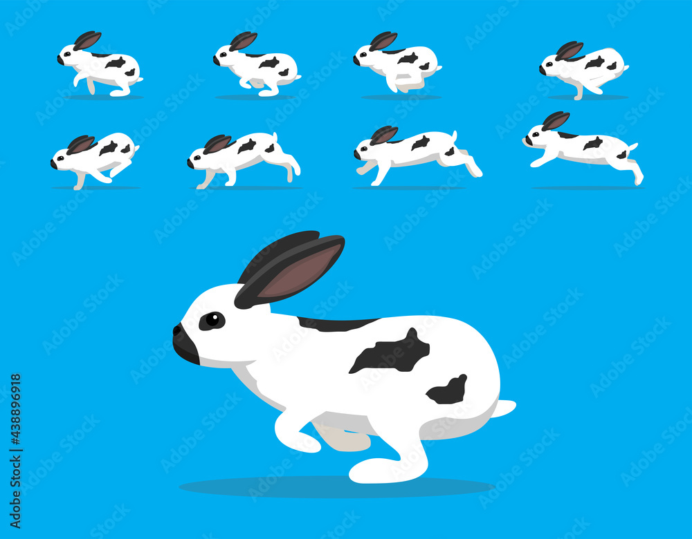 Animal Animation Sequence Rabbit Checkered Giant Cartoon Vector Stock ...