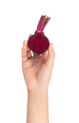 Canvas Print - Hand holding Beetroot isolated on white background.