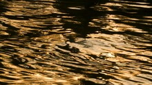 Abstract Background 4K Slow Motion Video Clip Of Golden Light Reflecting On Lake Or River Water With Liquid Gold Ripples And Reflections