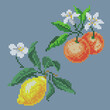 vector art embroidery lemon and tangerine