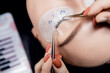 Eyelash extension procedure in salon. Master tweezers fake 2d lashes beautiful female eyes