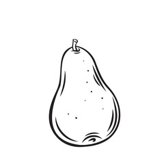 Sticker - Pear fruit outline vector icon, drawing monochrome illustration. Healthy nutrition, organic food, vegetarian product.