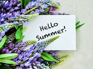  Summer composition of wild flowers lupinus, lupin, lupine purple, blue, pink color on grey concrete background. Postcard, background, booklet with text Hello summer. Flat lay