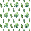 Seamless tropical pattern with green monstera leaves, banana leaves for design and decoration. Great for decorative paper, scrapbooking and design