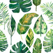 Seamless tropical pattern with green leaves of monstera, banana, palm, philodendron for design and decoration. Great for decorative paper, scrapbooking, and design