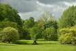 Eclaircie entre deux nuages sombres donnant un contraste entre le vert de la végétation luxuriante et le gris du ciel à l'arboretum de Wespelaar en brabant Flamand 