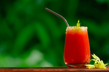 Glass of Bloody Mary cocktail rimmed salt decorated celery. Alcohol tomato juice and vodka cocktail on summer background. Copy space.