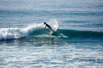 Wall Mural - Surfer on perfect blue aquamarine wave, empty line up, perfect for surfing, clean water, Indian Ocean close to Mirissa