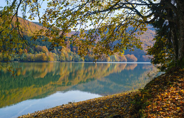 Forest meadow on shore of picturesque lake. Vilshany water reservoir on the Tereblya river, Transcarpathia, Ukraine. Beautiful autumn day in Carpathian Mountains.