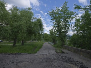 Wall Mural - fresh green roads in a park