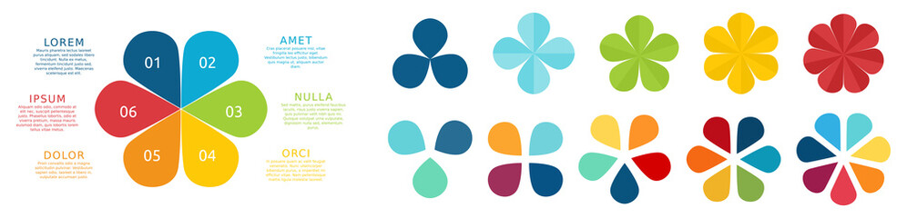 Wall Mural - Clover like infographic elements, colour version with three to seven petals