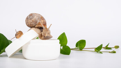 snail mucin cream with copy space, cosmetics for skin care.