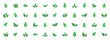 Set of isolated green leaf icons on white background. Various forms of green leaves of trees and plants. Abstract natural leaf icons. Elements for ecotypes and biotypes. Vector illustration. EPS 10