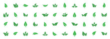 Set Of Isolated Green Leaf Icons On White Background. Various Forms Of Green Leaves Of Trees And Plants. Abstract Natural Leaf Icons. Elements For Ecotypes And Biotypes. Vector Illustration. EPS 10