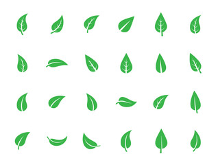 Set of isolated green leaf icons on white background. Various forms of green leaves of trees and plants. Abstract natural leaf icons. Elements for ecotypes and biotypes. Vector illustration. EPS 10