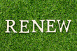 Wood alphabet letter in word renew on green grass background