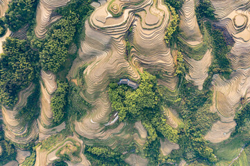 aerial view of rice terraces