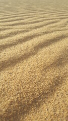  sand dune texture