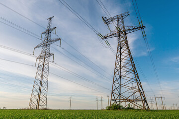 power lines in the spring in a green wheat field