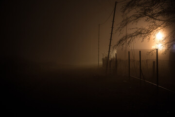 Wall Mural - night street country road with buildings and fences covered in fog lamp . or mysterious night in aze