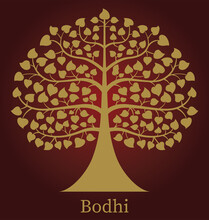 Golden Bodhi Tree , Vector Illustration 