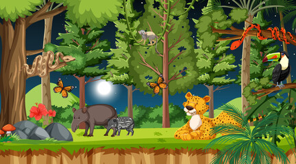 Wall Mural - Forest at night scene with different wild animals