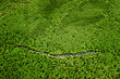 Elevated View Of Green Small Bog Marsh Swamp River Wetland And Green Forest Landscape In Summer Day. Attitude View. Forest In Bird's Eye View
