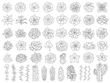 Succulent And Cacti Vector Set. Hand Drawn Desert Flower Illustration In Doodle Style. Set Plants With Black Outline. Silhouette Succulents On White Background. Echeveria, Aloe And Cactus