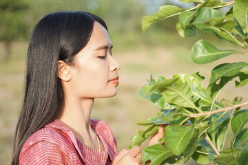 Asian woman happily exploring and walking into the trees