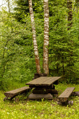 Sticker - wooden bench in forest