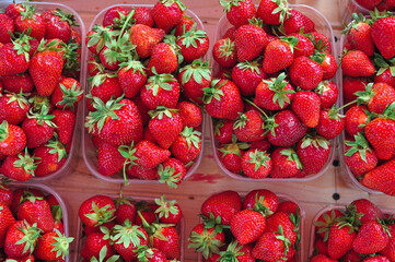 Many red juicy strawberry on the stall copy space