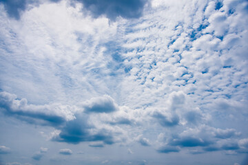 Wall Mural - 青空