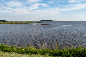 Wall Mural - Silt, sediment sand and mud collect to form a shoal or mudbank in the shallow tidal brackish water swamp area at the mouth of the river delta where it approaches the ocean