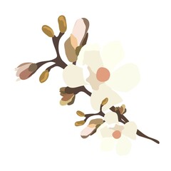 Wall Mural - Vintage flower. A branch of a blossoming tree. Flat vector illustration in pastel colors.