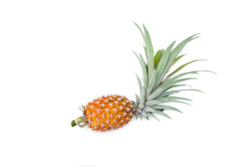 Pineapple fresh fruit with leaves isolated on white background.