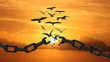 Freedom Concept : Birds Broken The Chain And Flying Away. Chains Transform To Free Bird At Sunset.  Yellow Orange Sky. Concept Of Liberty.  