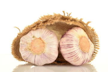 Two heads of fragrant ripe garlic with a jute napkin, close-up, isolated on white.