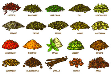 Spices and herbs sketch set. Vector line icons of dried condiment or seasoning. Aroma cooking ingredients or flavoring. Hand drawn food supplement elements. Culinary and cuisine theme