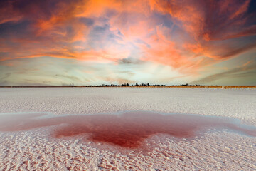 Wall Mural - pink lake and sandy beach with a sea bay under a blue sky with clouds