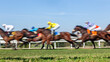 Horses Racing  Jockeys Unrecognizable Riding  Panoramic Motion Speed Blur Closeup Photo Action Image.