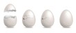 Cracked egg. Realistic chicken while eggshells. Hatching sequence steps row. Birth of bird. 3D broken animal shells set. Cooking ingredient with fractures. Vector poultry food products