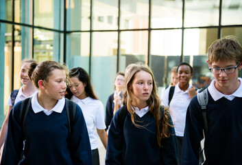 Wall Mural - group of students walking in school