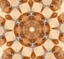 Kaleidoscope In Sand-Colored And Light Brown